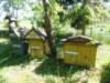 dsc06320_small.jpg