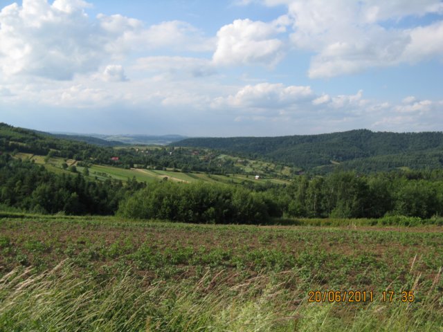 bartkowaposadkowa2011155.jpg