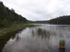 dsc00105_small.jpg