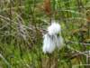 dsc00110_small.jpg