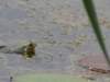dsc00124_small.jpg
