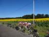 dsc02960_small.jpg