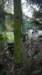 wp_20161023_008_small.jpg