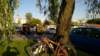 wp_20150603_002_small.jpg