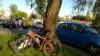 wp_20150603_003_small.jpg