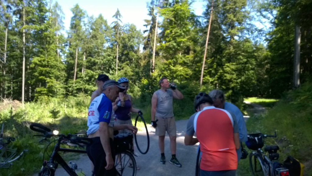 wp_20150605_001.jpg