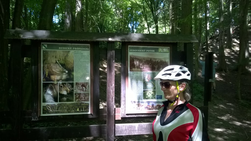 wp_20150605_023.jpg