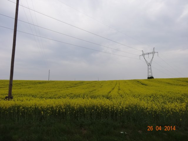 dsc01661.jpg