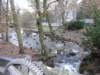 dsc00077_small.jpg