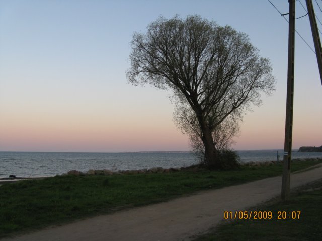 ivmajwka2009109.jpg