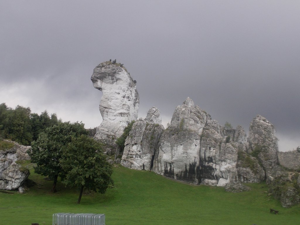 imag0023.jpg