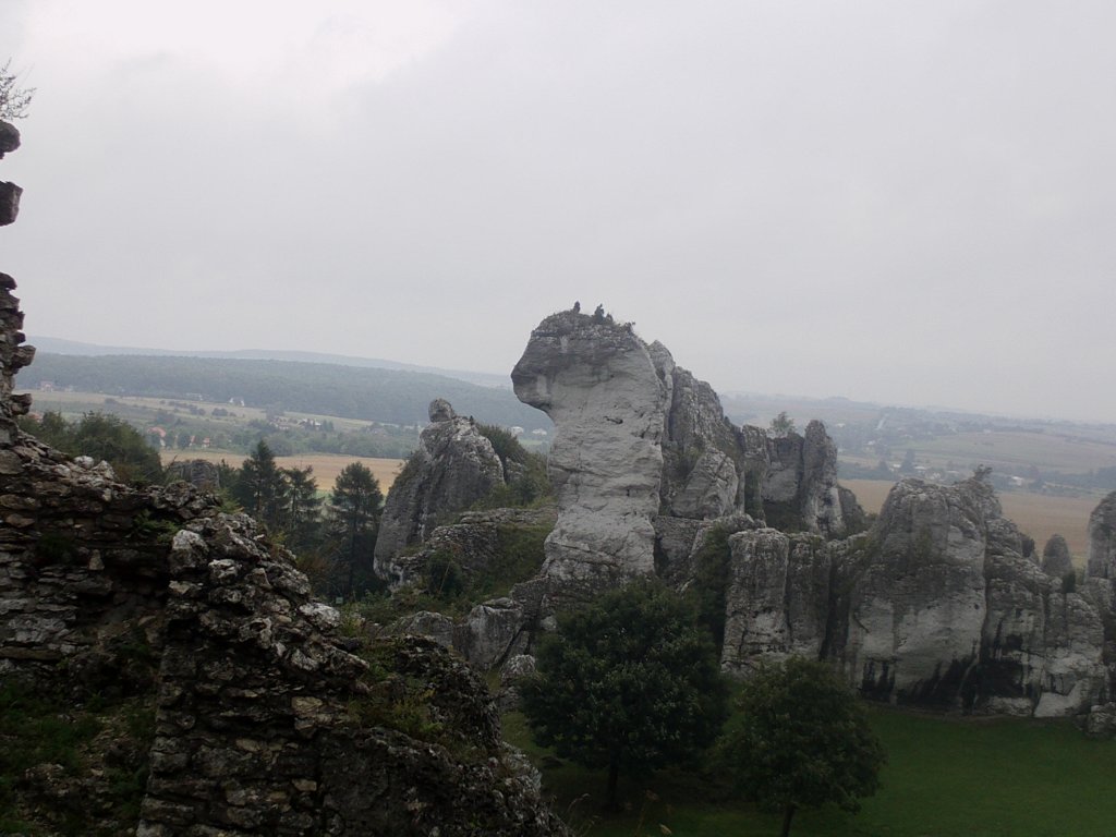 imag0041.jpg