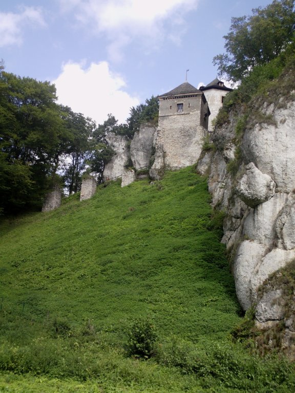 imag0073.jpg