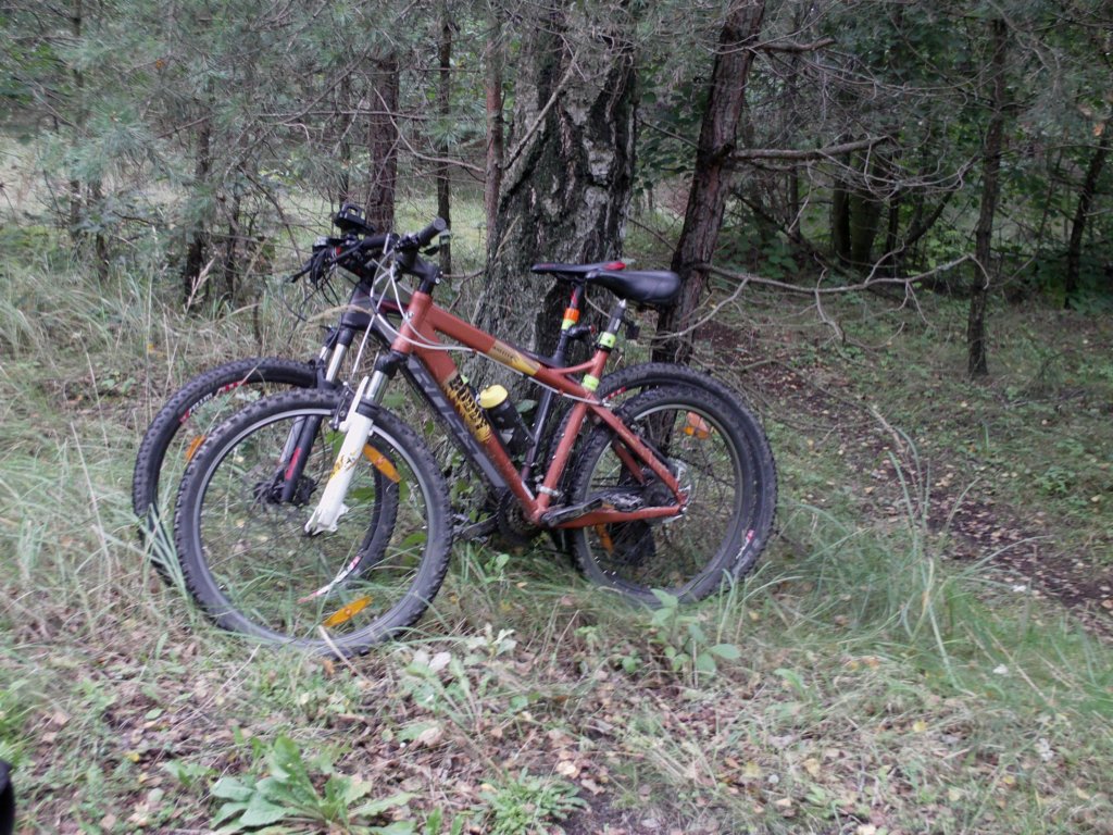 imag0153.jpg