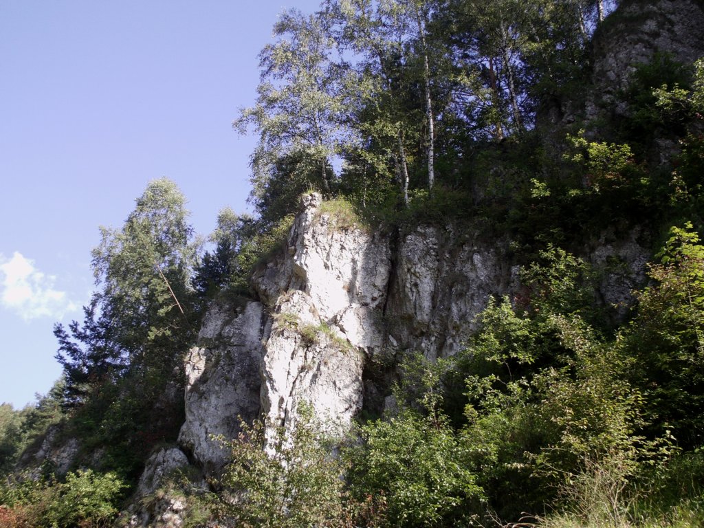 imag0178.jpg