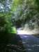 photo15_small.jpg