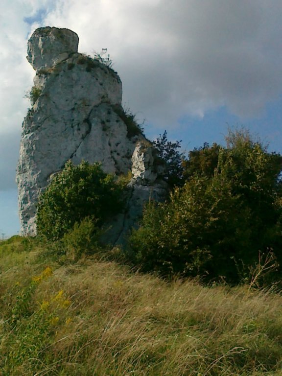 photo24.jpg