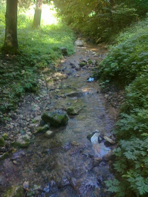 photo26.jpg