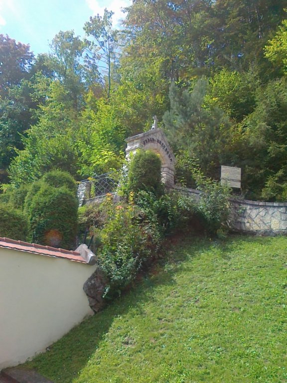 photo29.jpg