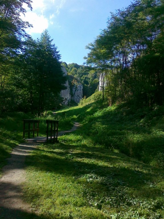 photo34.jpg