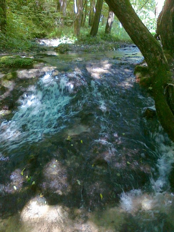 photo7.jpg