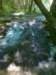 photo7_small.jpg