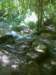 photo8_small.jpg