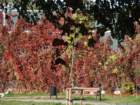 dsc00020_small.jpg