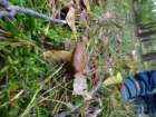 dsc00026_small.jpg