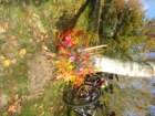 dsc00110_small.jpg