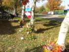 dsc00113_small.jpg