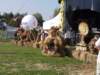 dsc03849_small.jpg