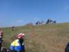 dsc00068_small.jpg
