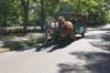 dsc09361_small.jpg