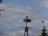 dsc03278_small.jpg