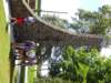 dsc03285_small.jpg