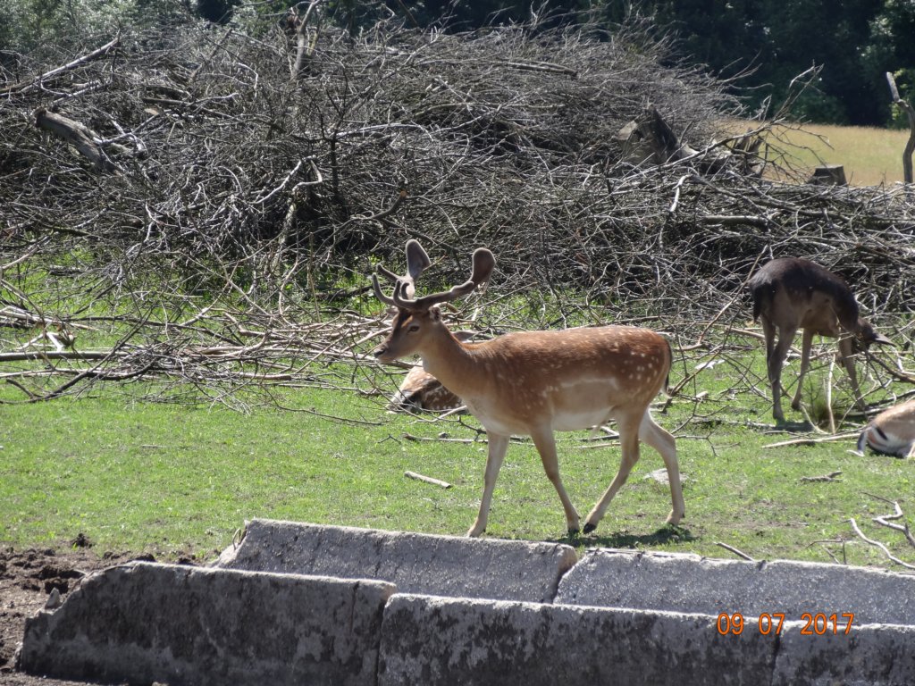 dsc03301.jpg