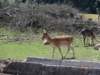 dsc03301_small.jpg
