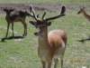 dsc03305_small.jpg