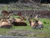 dsc03306_small.jpg
