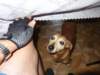 dsc03314_small.jpg