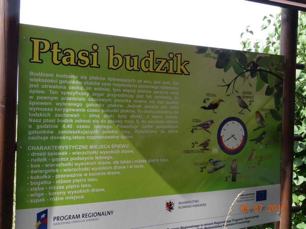 niedzielnawycieczka9072017.jpg