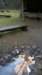 wp_20170101_003_small.jpg