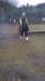 wp_20170101_004_small.jpg