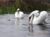 dsc00471_small.jpg