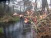 dsc00496_small.jpg