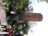 dsc04865_small.jpg