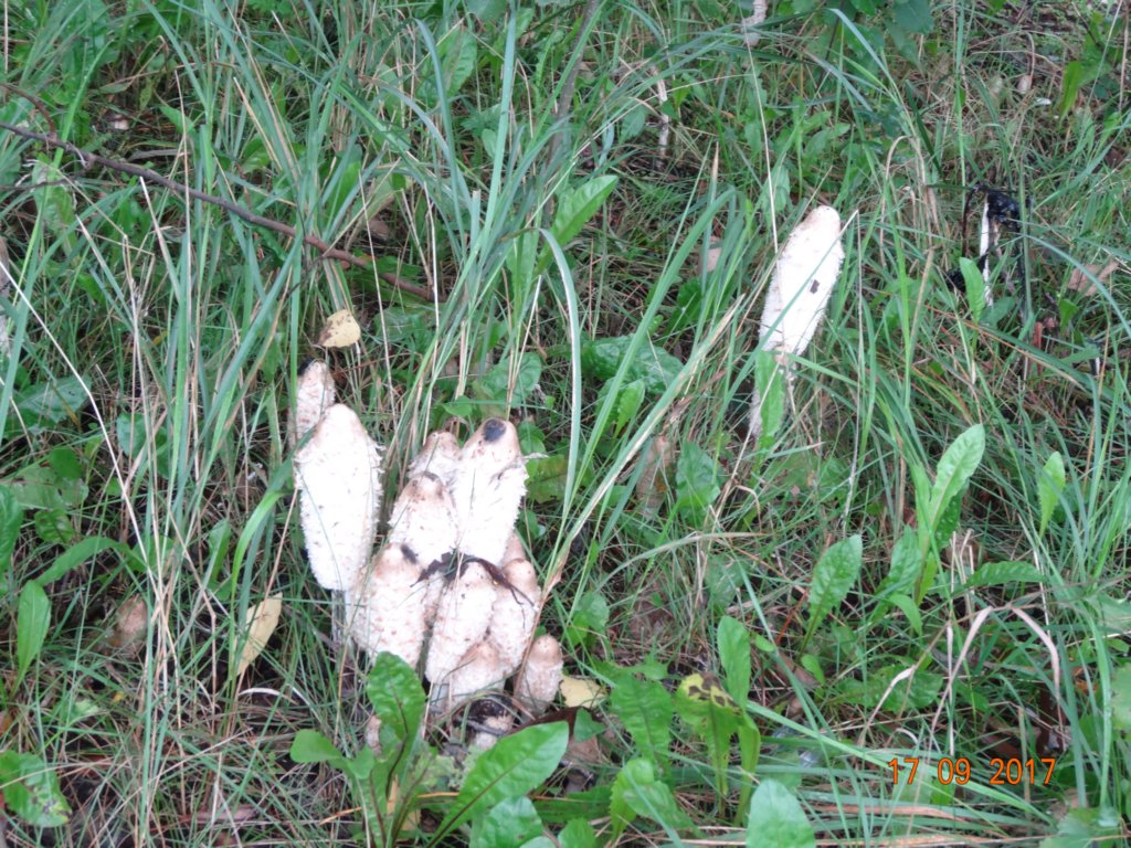 dsc04916.jpg