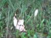 dsc04916_small.jpg