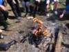 dsc05227_small.jpg